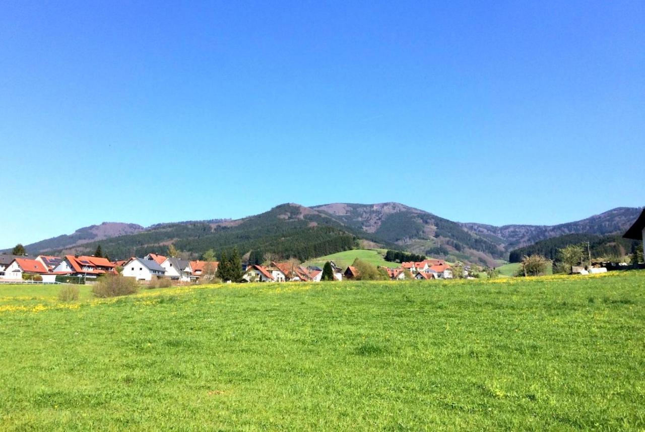 Gemuetliches Haus Im Herzen Des Schwarzwaldes Fuer Bis Zu 9 Personen Elzach Exteriér fotografie