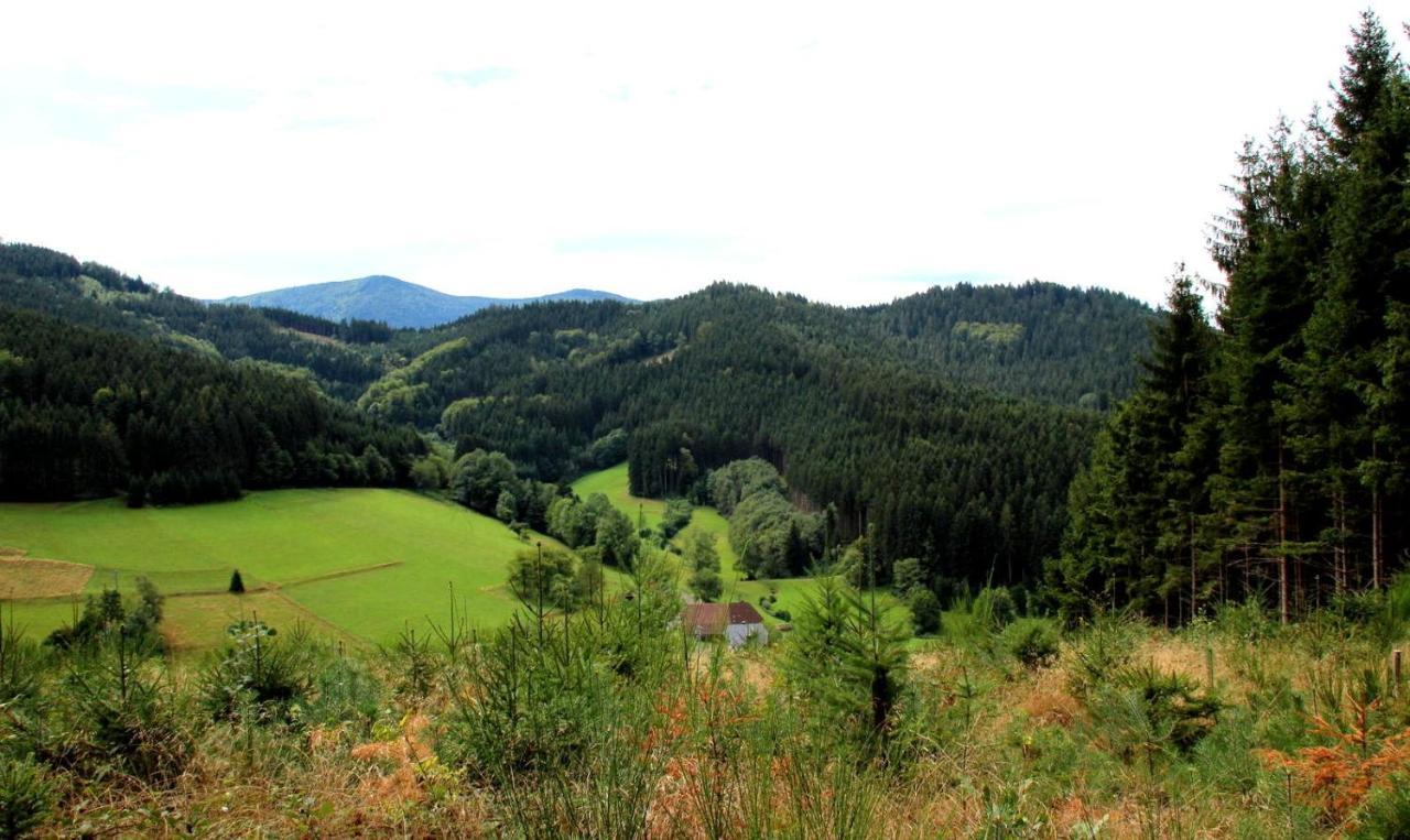 Gemuetliches Haus Im Herzen Des Schwarzwaldes Fuer Bis Zu 9 Personen Elzach Exteriér fotografie